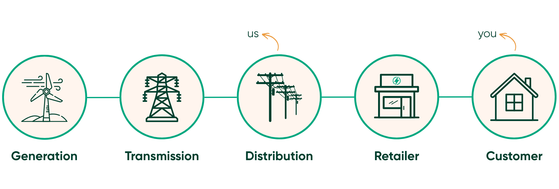 The electricity network infographic