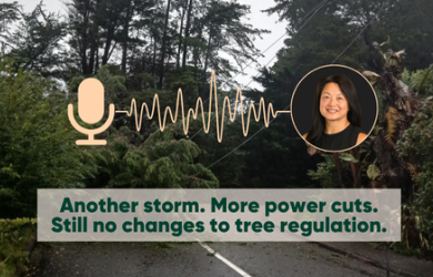 NEWS items for website   trees